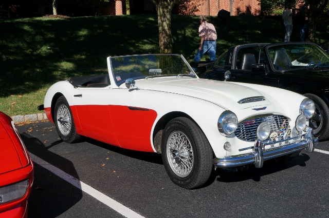 Click image for larger version

Name:	DSC00261640x425.jpg
Views:	22
Size:	236.7 KB
ID:	27073