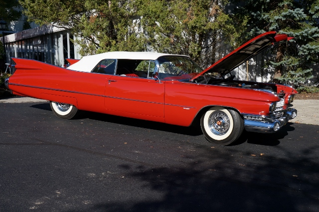 Click image for larger version

Name:	DSC00265640x425.jpg
Views:	17
Size:	254.4 KB
ID:	27078