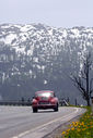 Click image for larger version

Name:	car_photo_525118_14.jpg
Views:	60
Size:	3.8 KB
ID:	30553