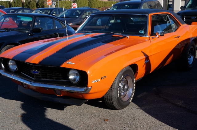Click image for larger version

Name:	DSC00493640x425.jpg
Views:	18
Size:	231.6 KB
ID:	30909