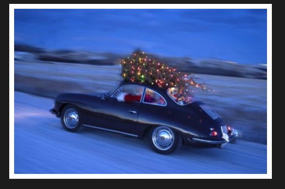 Click image for larger version

Name:	Noel8.JPG
Views:	28
Size:	33.3 KB
ID:	33742