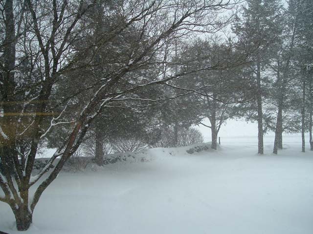 Click image for larger version

Name:	DSCF5040.JPG
Views:	55
Size:	86.3 KB
ID:	36935