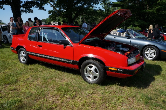 Click image for larger version

Name:	DSC01387640x425.jpg
Views:	19
Size:	290.8 KB
ID:	45038