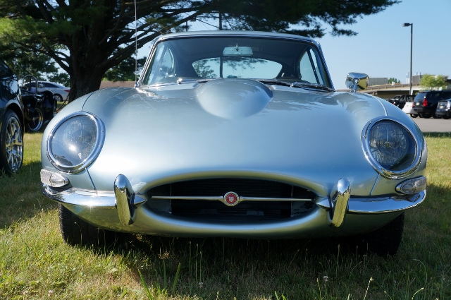 Click image for larger version

Name:	DSC01379640x425.jpg
Views:	16
Size:	235.7 KB
ID:	45039