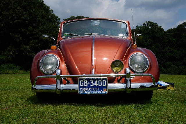 Click image for larger version

Name:	DSC01625640x425.jpg
Views:	41
Size:	238.1 KB
ID:	46632