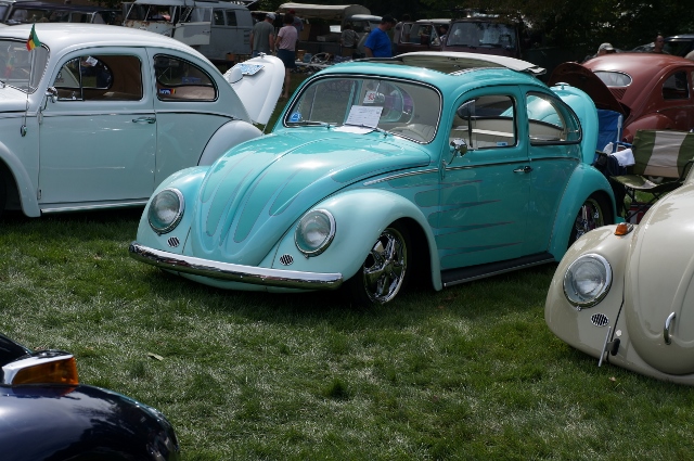 Click image for larger version

Name:	DSC01829640x425.jpg
Views:	17
Size:	249.7 KB
ID:	50035