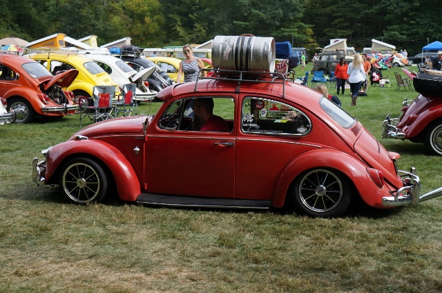 Click image for larger version

Name:	DSC01850640x425.jpg
Views:	18
Size:	282.3 KB
ID:	50051