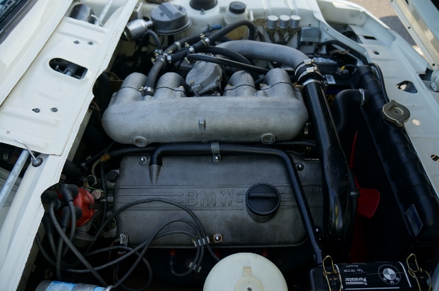 Click image for larger version

Name:	DSC01771640x425.jpg
Views:	13
Size:	200.5 KB
ID:	50094