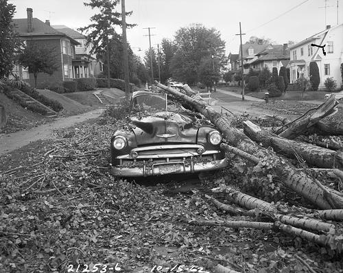 Click image for larger version

Name:	1ymb4243seattle62.jpg
Views:	45
Size:	56.2 KB
ID:	86812