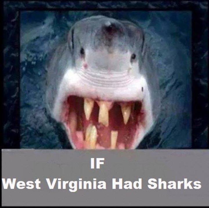 Click image for larger version

Name:	1sfs25988.jpg
Views:	130
Size:	45.1 KB
ID:	91018