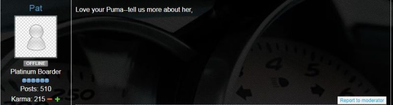 Click image for larger version

Name:	Puma8.JPG
Views:	29
Size:	22.2 KB
ID:	91567