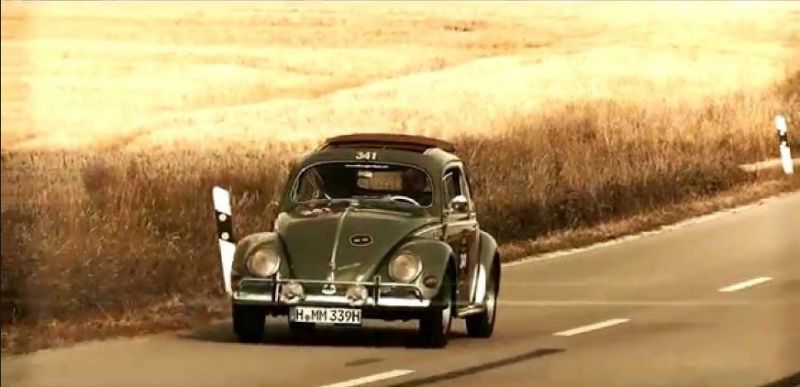 Click image for larger version

Name:	MMbeetle1.JPG
Views:	55
Size:	43.5 KB
ID:	93244