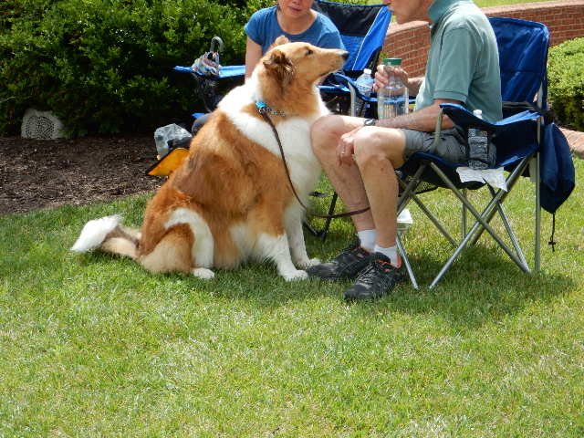 Click image for larger version

Name:	20.HouseCollie.JPG
Views:	33
Size:	128.6 KB
ID:	101196