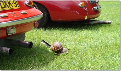 Click image for larger version

Name:	fuhrmann1.JPG
Views:	37
Size:	51.0 KB
ID:	56525