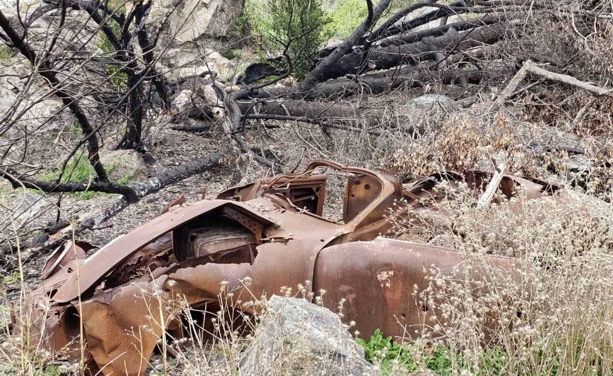 Click image for larger version

Name:	Porsche-356-Field-Find.jpg
Views:	101
Size:	345.3 KB
ID:	112382