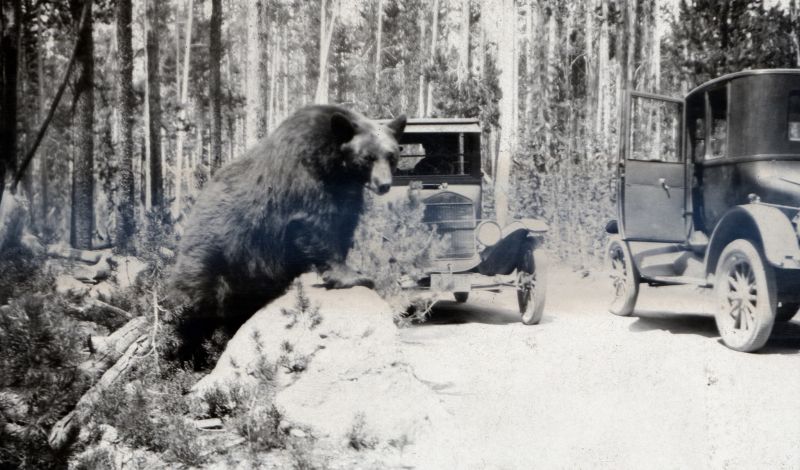 Click image for larger version

Name:	2ocbge27yellowstone.jpg
Views:	50
Size:	79.4 KB
ID:	97505
