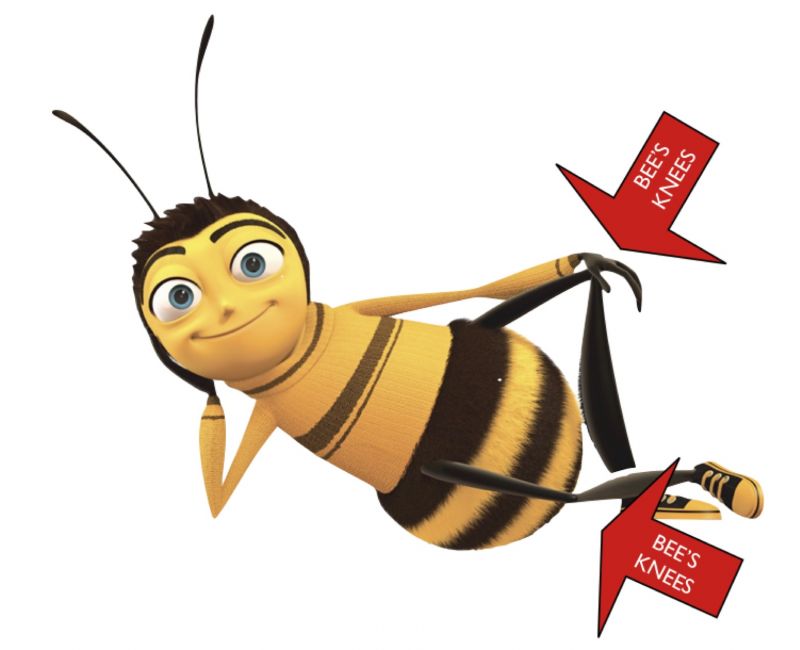 Click image for larger version

Name:	bees-knees2.jpg
Views:	36
Size:	41.8 KB
ID:	27263