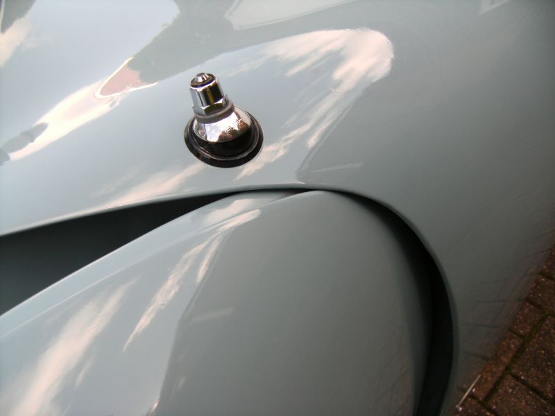 Click image for larger version

Name:	2012_1057wingbrace2.jpg
Views:	82
Size:	33.0 KB
ID:	5497
