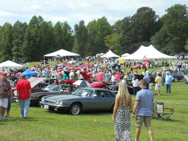 Click image for larger version

Name:	32.ShowGroundsJags.jpg
Views:	51
Size:	138.5 KB
ID:	49416