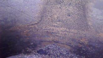 Click image for larger version

Name:	IMG_1385.jpg
Views:	360
Size:	112.4 KB
ID:	115263