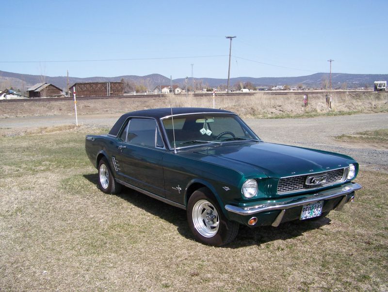 Click image for larger version

Name:	insurancepics006.jpg
Views:	53
Size:	105.3 KB
ID:	1399