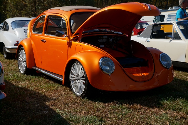 Click image for larger version

Name:	DSC01899640x425.jpg
Views:	38
Size:	252.4 KB
ID:	53970