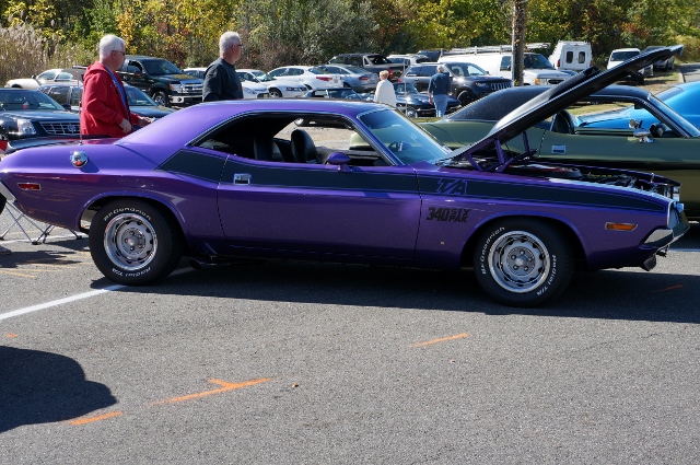 Click image for larger version

Name:	DSC00389640x425.jpg
Views:	36
Size:	274.9 KB
ID:	27935