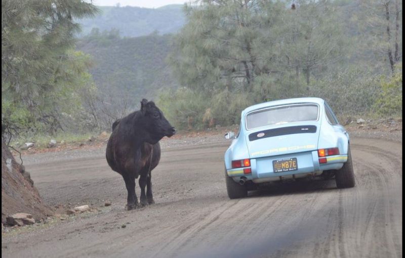 Click image for larger version

Name:	9113.JPG
Views:	213
Size:	67.1 KB
ID:	31959