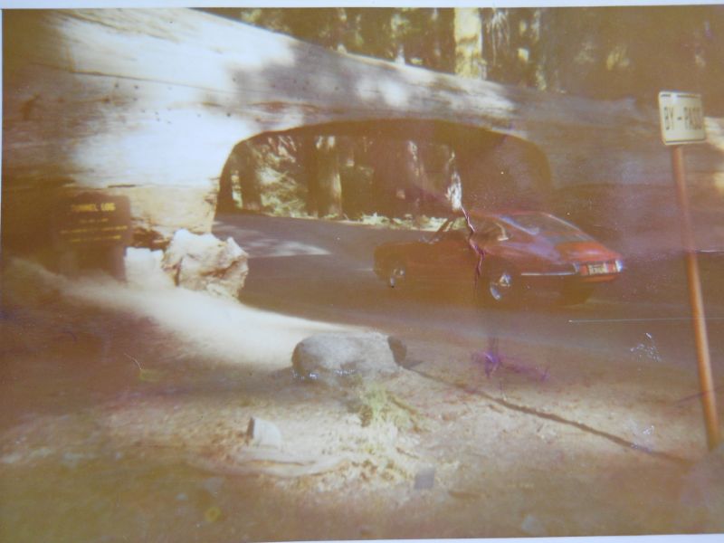 Click image for larger version

Name:	old66010.JPG
Views:	211
Size:	51.4 KB
ID:	21914