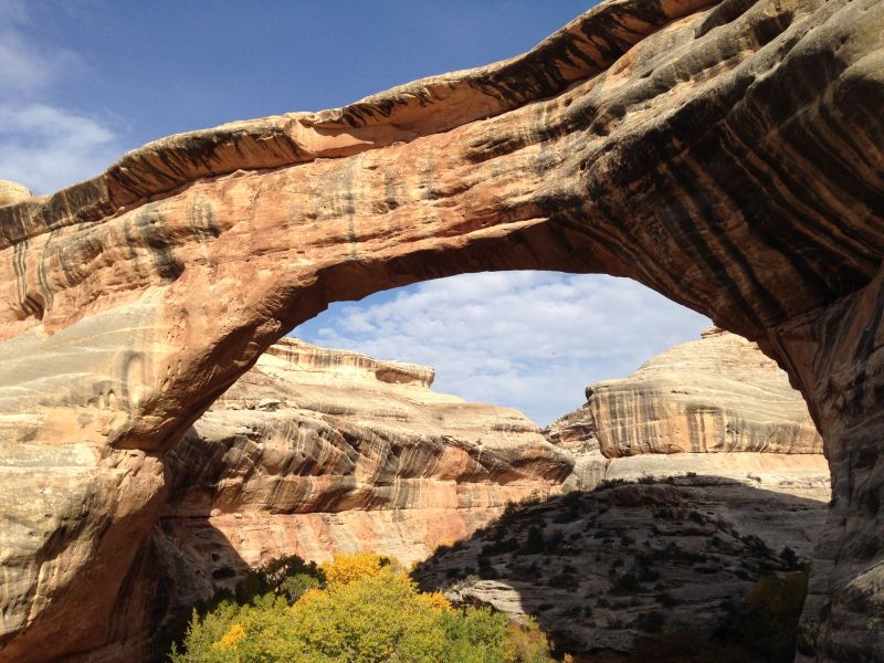 Click image for larger version

Name:	IMG_4634.JPG
Views:	161
Size:	109.0 KB
ID:	92795