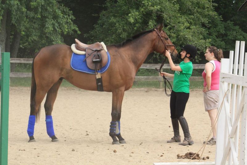 Click image for larger version

Name:	IMG_4139.jpg
Views:	57
Size:	71.2 KB
ID:	19424