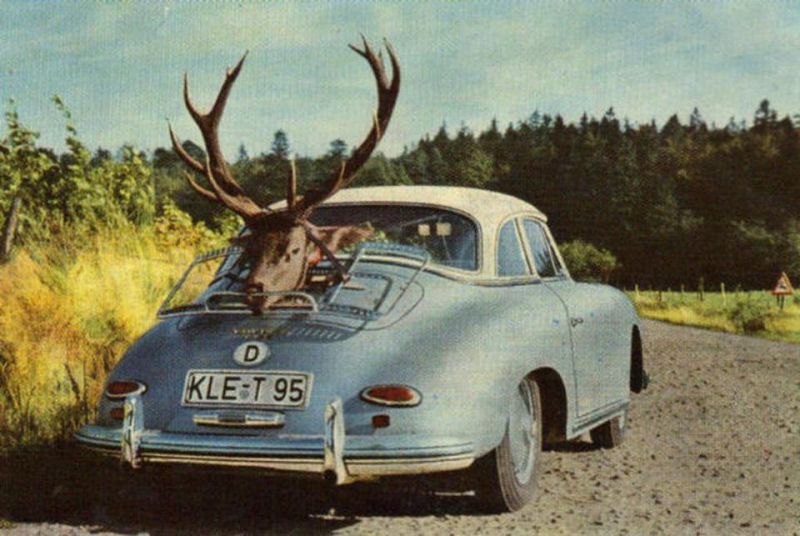 Click image for larger version

Name:	old556.jpg
Views:	86
Size:	77.0 KB
ID:	29443