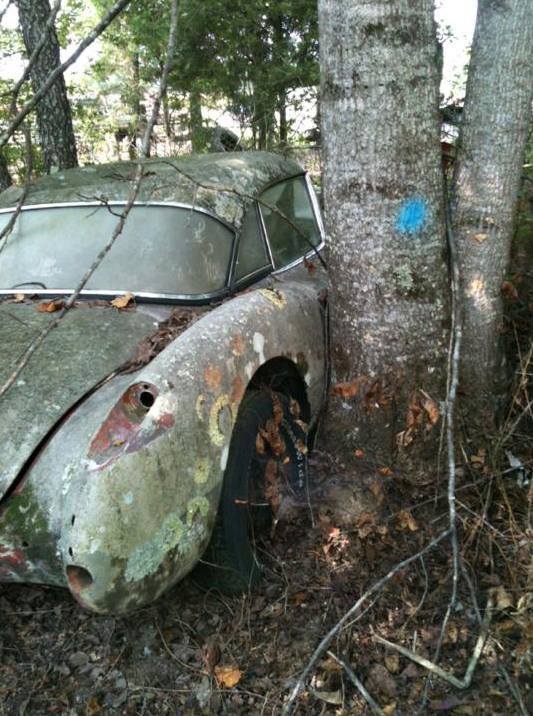 Click image for larger version

Name:	11391159ywmbb1600.jpg
Views:	68
Size:	76.9 KB
ID:	62307