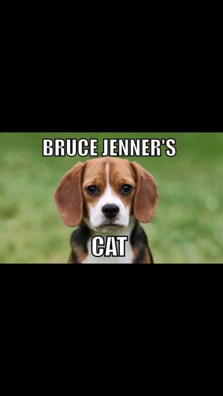 Click image for larger version

Name:	image_2015-07-12.jpg
Views:	82
Size:	23.3 KB
ID:	63794