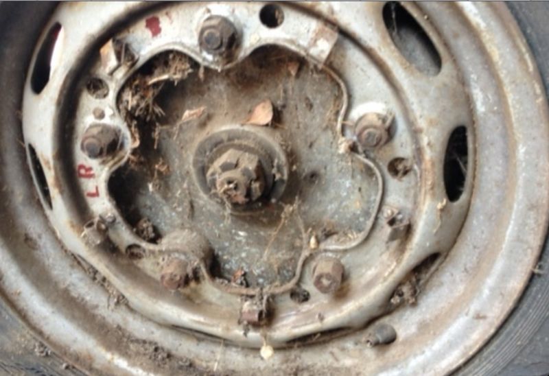 Click image for larger version

Name:	image_2013-07-13-2.jpg
Views:	70
Size:	68.7 KB
ID:	22647