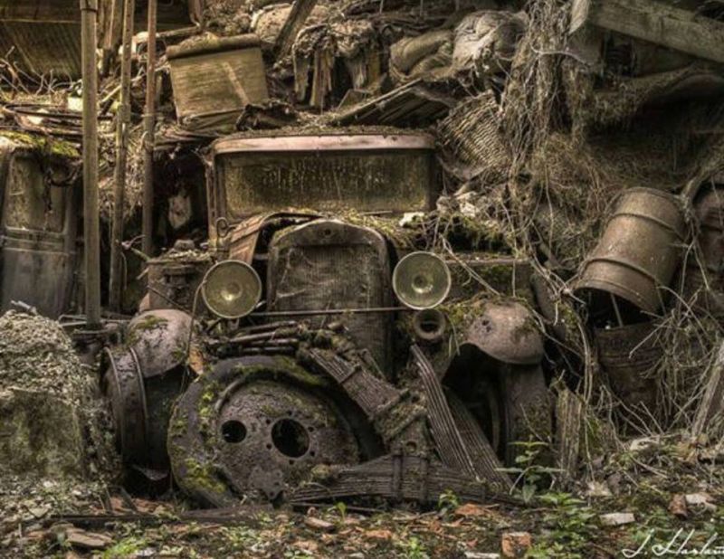 Click image for larger version

Name:	1ywm4046.jpg
Views:	81
Size:	111.0 KB
ID:	79368