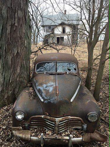 Click image for larger version

Name:	1ocbg985.jpg
Views:	76
Size:	51.1 KB
ID:	77548