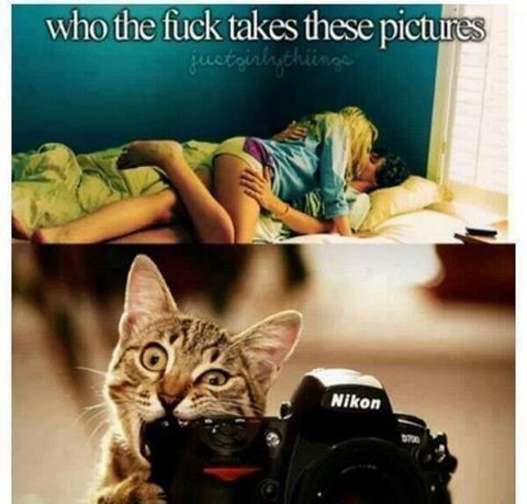 Click image for larger version

Name:	sfs101444.jpg
Views:	88
Size:	37.2 KB
ID:	65014