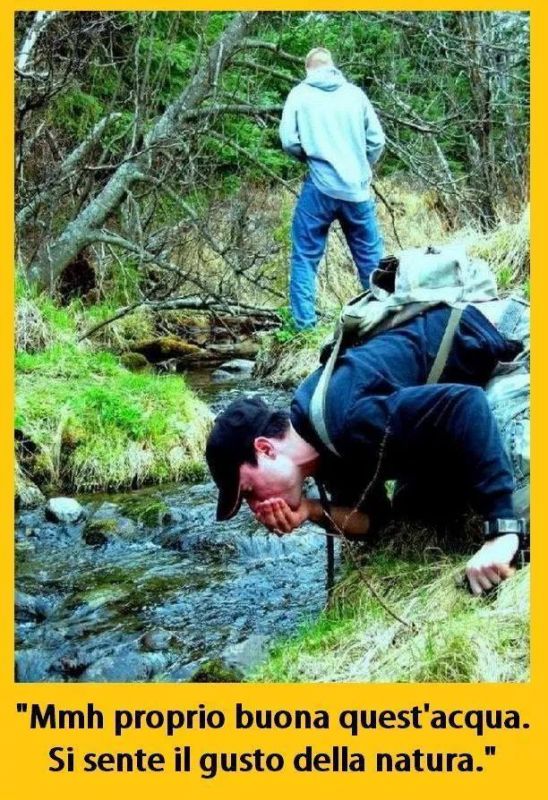 Click image for larger version

Name:	sfs29735344.jpg
Views:	84
Size:	125.4 KB
ID:	65752