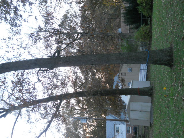 Click image for larger version

Name:	DSCN0012.JPG
Views:	84
Size:	167.7 KB
ID:	29984