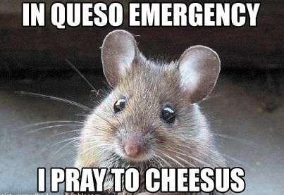Click image for larger version

Name:	mexican-word-cheesus-queso-13936526601.jpg
Views:	82
Size:	24.4 KB
ID:	73580