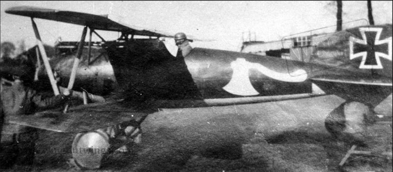 Click image for larger version

Name:	Paustrahleabbatros.JPG
Views:	62
Size:	56.3 KB
ID:	93144