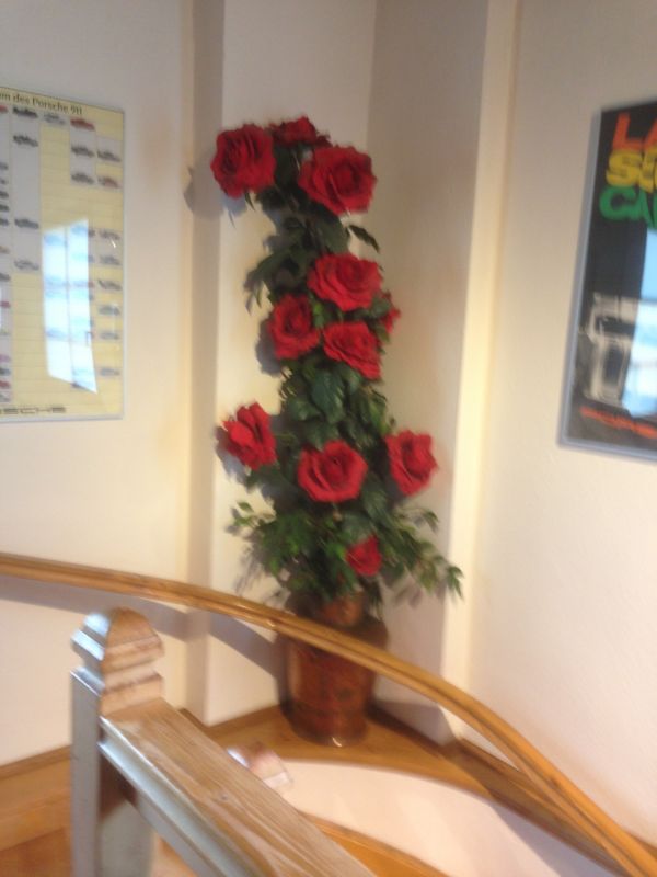 Click image for larger version

Name:	IMG_0260.JPG
Views:	82
Size:	46.2 KB
ID:	27757